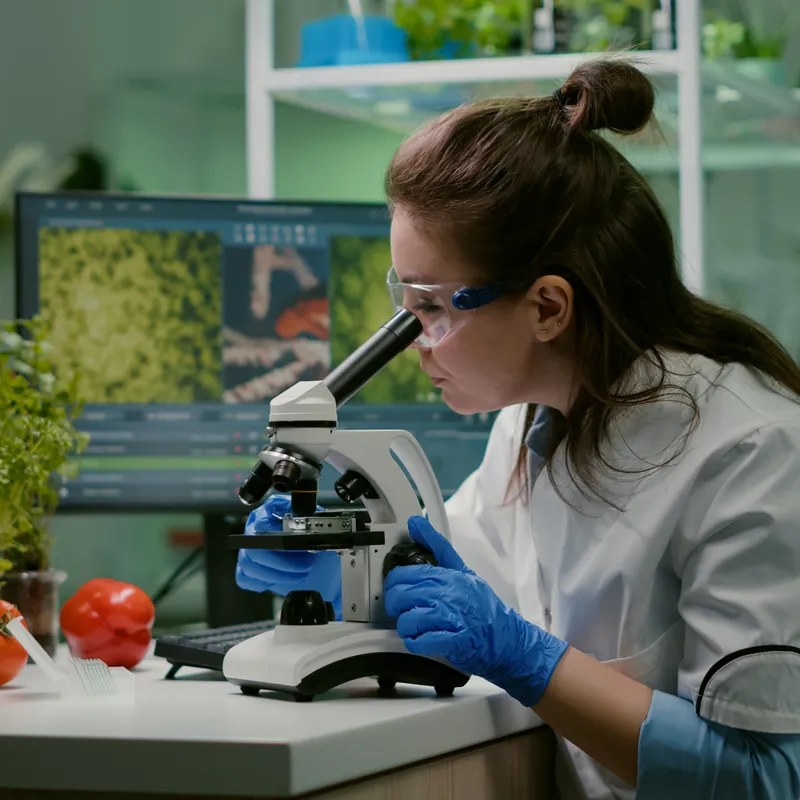 Análisis Microbiológico de Alimentos en Panamá | MiQroLab