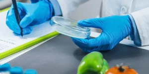 Documentación Técnica de Calidad e Inocuidad en Panamá