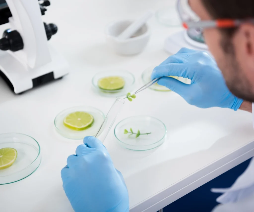 Laboratorio de Análisis Microbiológicos en Panamá | MiQroLab